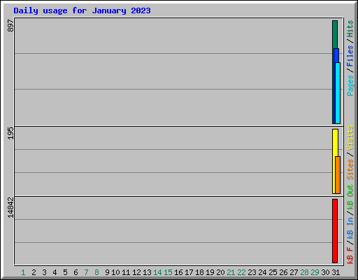 Daily usage for January 2023