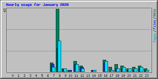 Hourly usage for January 2020