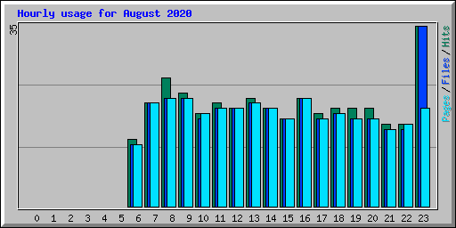 Hourly usage for August 2020