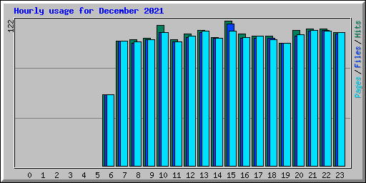 Hourly usage for December 2021