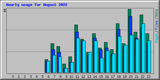 Hourly usage for August 2022