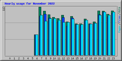 Hourly usage for November 2022