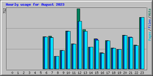 Hourly usage for August 2023