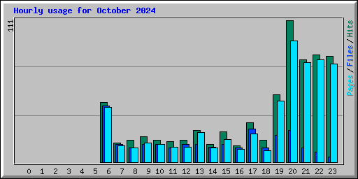 Hourly usage for October 2024