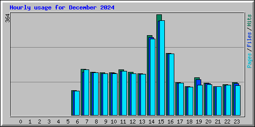 Hourly usage for December 2024