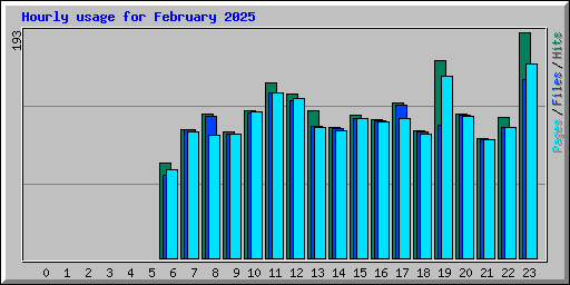 Hourly usage for February 2025