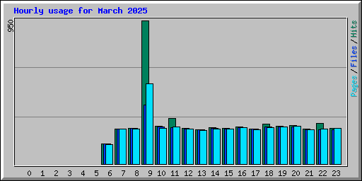 Hourly usage for March 2025