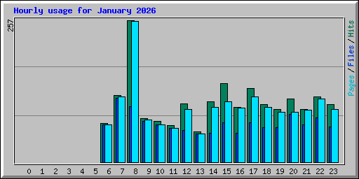 Hourly usage for January 2026