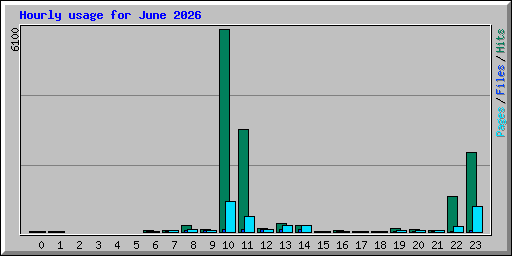 Hourly usage for June 2026