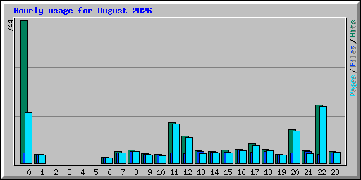 Hourly usage for August 2026